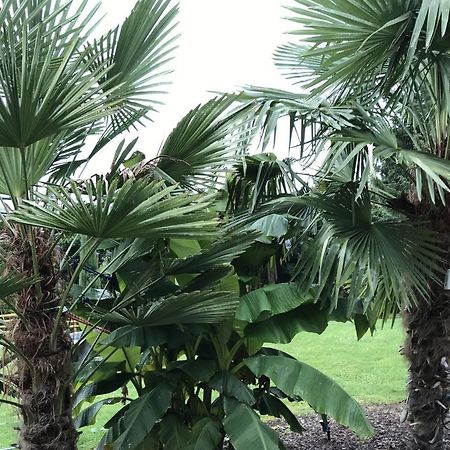 Ferienwohnung Palmengarten Lichtenstein  Zewnętrze zdjęcie