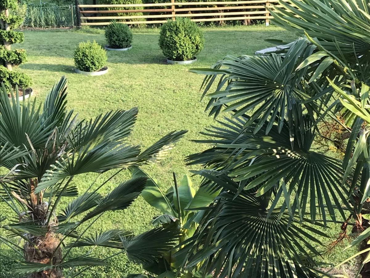 Ferienwohnung Palmengarten Lichtenstein  Zewnętrze zdjęcie