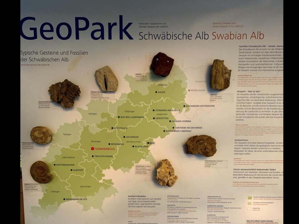 Ferienwohnung Palmengarten Lichtenstein  Zewnętrze zdjęcie