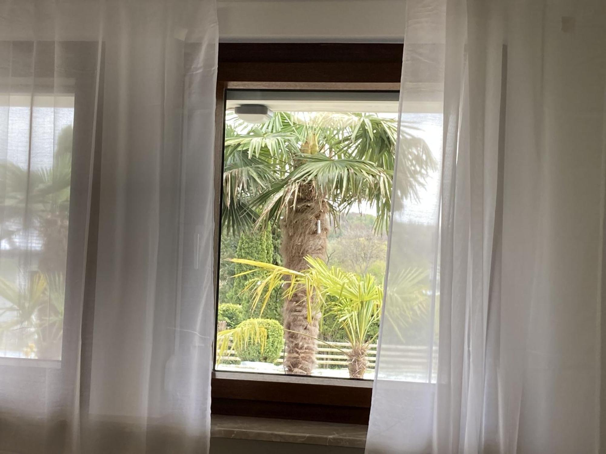 Ferienwohnung Palmengarten Lichtenstein  Zewnętrze zdjęcie